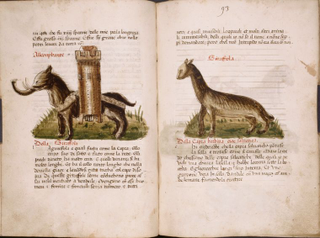 Illustration for article titled How Europeans Imagined Exotic Animals Centuries Ago, Based on Hearsay